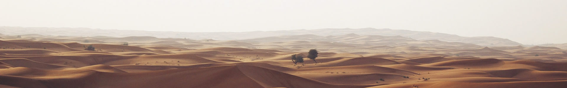 վܿƼ޹˾